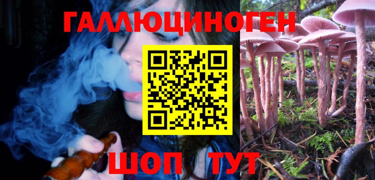 Псилоцибиновые грибы ЛСД Артёмовский