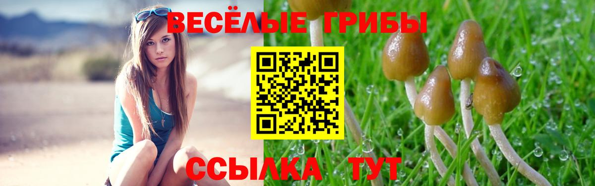 Псилоцибиновые грибы Psilocybe Артёмовский