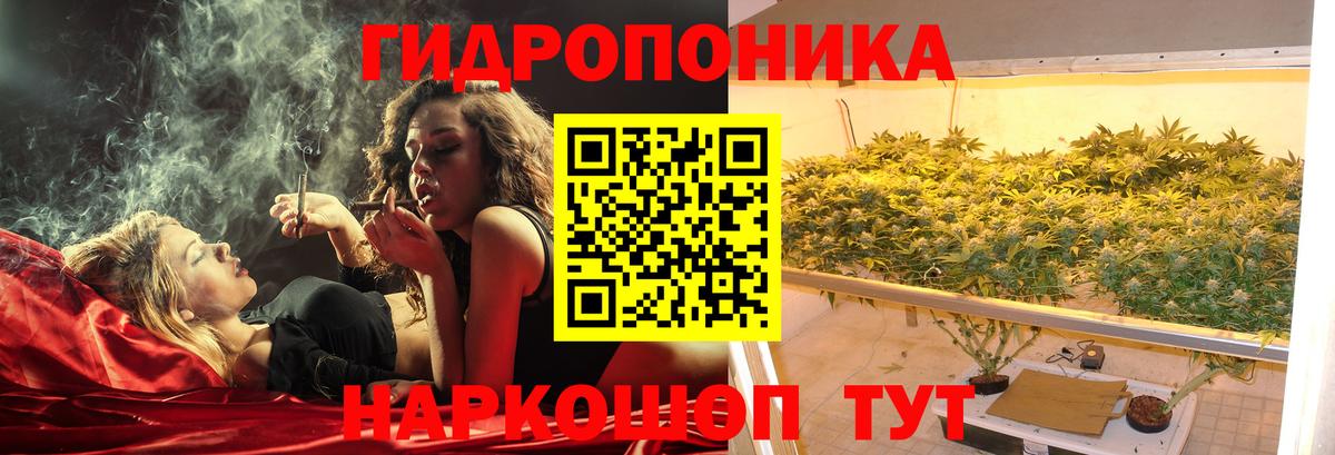 Конопля Amnesia Артёмовский